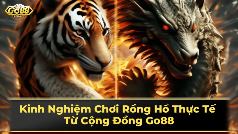 Kinh Nghiệm Chơi Rồng Hổ Thực Tế Từ Cộng Đồng Go88 1 Luật chơi Rồng Hổ cơ bản