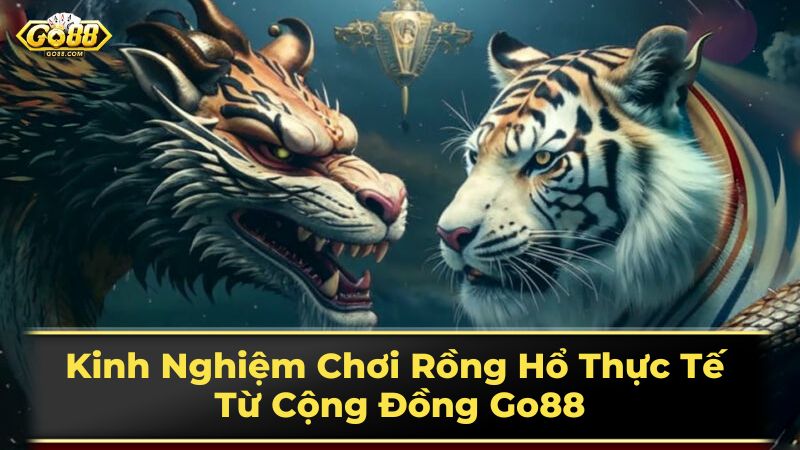 Kinh Nghiệm Chơi Rồng Hổ Thực Tế Từ Cộng Đồng Go88 3 Chơi Rồng Hổ trực tuyến